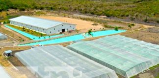 Toma aérea de uno de las empresas exitosas con inversión extranjera