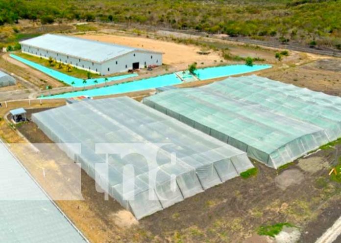 Toma aérea de uno de las empresas exitosas con inversión extranjera