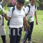 nicaragua, ometepe, reforestacion,