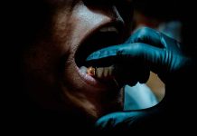¡De locos! Diseñadora incrusta dientes de personas muertas en sus joyas ¡De locos! Diseñadora incrusta dientes de personas muertas en sus joyas