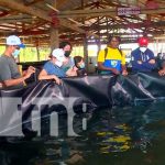 Centro experimental para la pesca en Laguna de Perlas