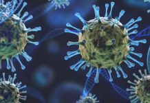 Sugieren que la variante Lambda del COVID-19 es más infecciosa Foto: Sugieren que la variante Lambda del COVID-19 es más infecciosa / Referencia