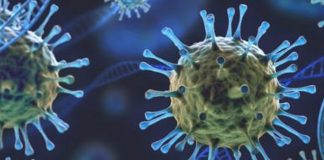 Foto: Sugieren que la variante Lambda del COVID-19 es más infecciosa / Referencia