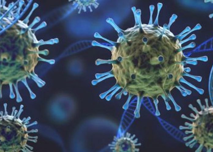 Foto: Sugieren que la variante Lambda del COVID-19 es más infecciosa / Referencia