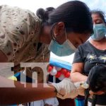 Inicia jornada de vacunación canina en Masaya