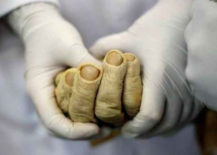 Maquillador de los muertos: 