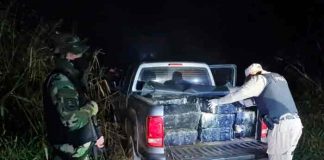 Argentina: Prefectura Naval decomisa más de una tonelada de marihuana