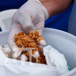 Inició la jornada de desratización en Masaya Nicaragua, masaya, Minsa, jornada de desratización