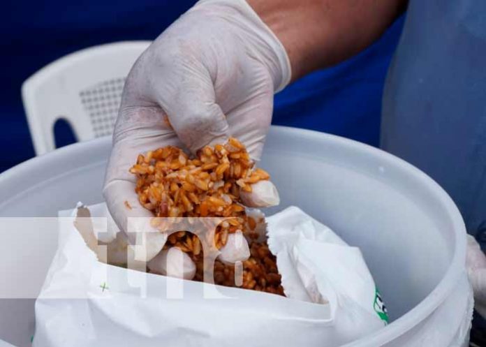 Nicaragua, masaya, Minsa, jornada de desratización