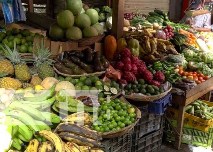 Foto: Destacan abastecimiento en los mercados / TN8