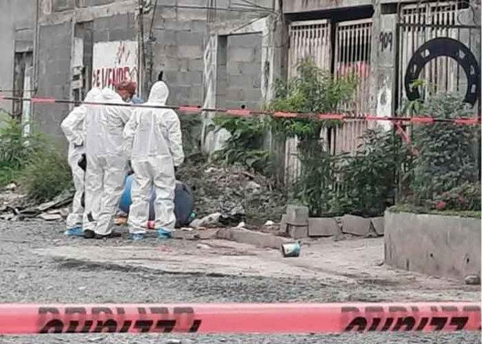 mexico1 Foto: ¡Escalofriante! Descuartizó a su esposa para dársela a comer a los perros/Cortesía