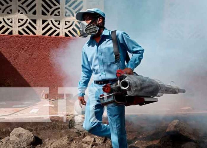 nicaragua, managua, fumigación, MINSA,