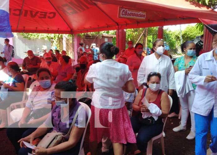 minsa-granada- vacunación granada