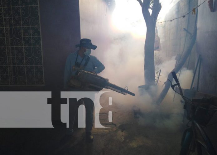 minsa-managua-barrio-2 Jornada de fumigación para la salud en el barrio Adolfo Reyes