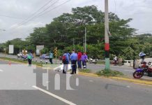 Carretera Nueva a León vuelve a ser escenario de un accidente mortal Mortal accidente de tránsito en la Carretera Nueva a León