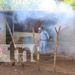 Foto: Fumigación en barrio El Progreso / TN8