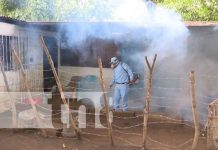 Foto: Fumigación en barrio El Progreso / TN8