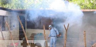 Foto: Fumigación en barrio El Progreso / TN8