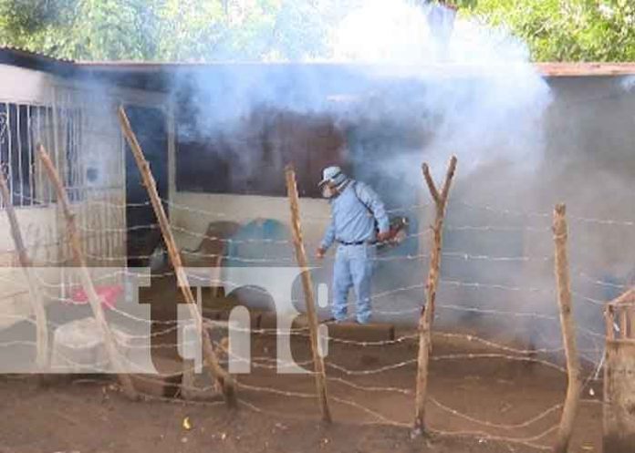 Foto: Fumigación en barrio El Progreso / TN8