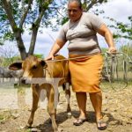 La Revolución en Nicaragua impulsó los derechos de la mujer Mujer trabajadora del campo en Nicaragua