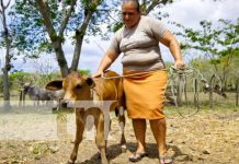 Mujer trabajadora del campo en Nicaragua