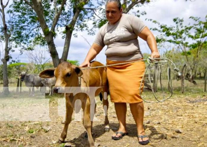 Mujer trabajadora del campo en Nicaragua