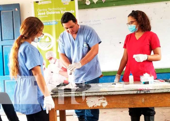 Nicaragua, nandaime, productores, genética porcina