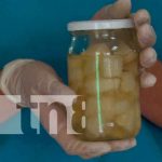 El centro de INATEC realizó, con estudiantes un conversatorio para conocer algunas técnicas valor a productos que son a bases de frutas