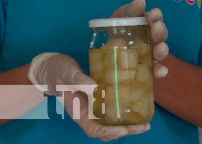 nectar1 El centro de INATEC realizó, con estudiantes un conversatorio para conocer algunas técnicas valor a productos que son a bases de frutas