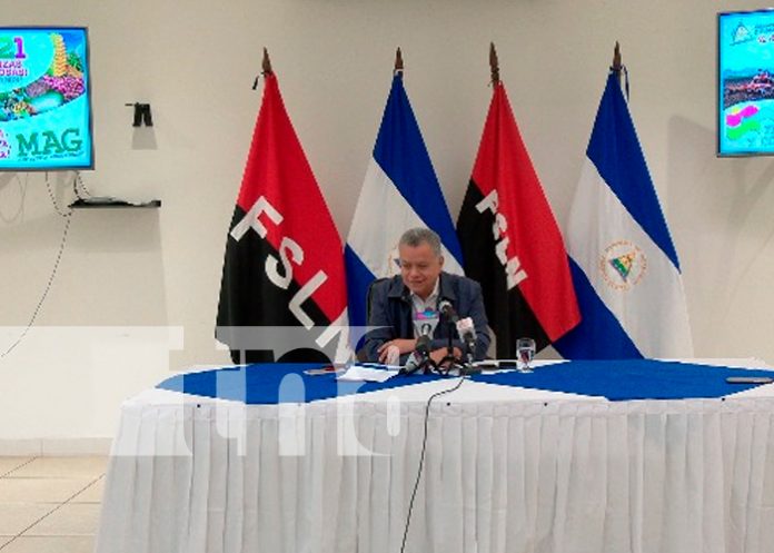 Ministro Agropecuario, Edward Centeno, durante una conferencia / FOTO / TN8