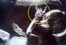 ¡De locos! Madre metalera llama a sus hijos «Metallica, Slayer y Pantera» Ultrasonido de un bebé rockeando