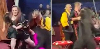Impactante ataque de un oso en un circo de Rusia se vuelve viral