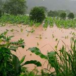 Ondas tropicales deja múltiples daños en Panamá Foto: Ondas tropicales deja múltiples daños en Panamá/Referencia