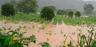 Foto: Ondas tropicales deja múltiples daños en Panamá/Referencia