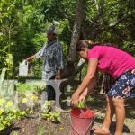 Más familias en Somoto prosperan con su patio saludable