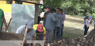 Producción de plátanos en Rivas, es un rubro que se encuentra en los primeros lugares de las principales actividades económicas