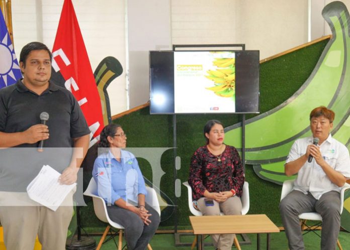 Foto: Desarrollan congreso internacional del plátano 2021 / TN8