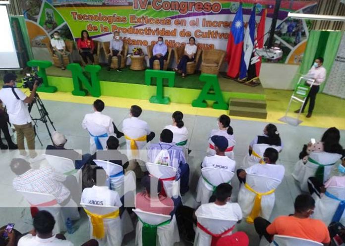 platano Cuarto Congreso Nacional del Cultivo del Plátano con el apoyo de la República de China Taiwán