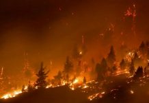 Debido a las altas temperaturas, las llamas grandes y pequeñas, azotan varias hectáreas del continente europeo llegando casi hasta Rusia