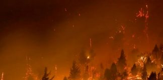 Debido a las altas temperaturas, las llamas grandes y pequeñas, azotan varias hectáreas del continente europeo llegando casi hasta Rusia