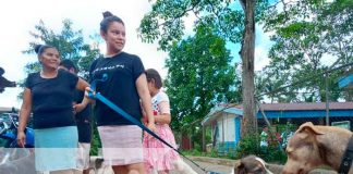 El MINSA desarrollo una jornada de vacunación canina, en los chiles municipio San Carlos del departamento Río San Juan