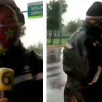 tendencias, viral, reportero,