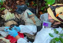 Hallan restos de personas desaparecidas en una fosa en Cancún Hallan restos de personas desaparecidas en una fosa en Cancún