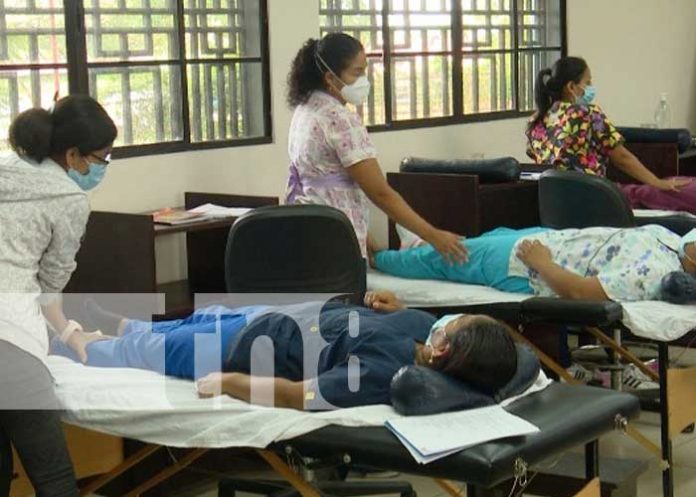 terapia-medicina-2 Sesión de terapia complementaria y medicina natural