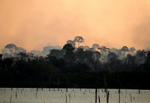 Los «signos vitales» de la Tierra se están debilitando, según científicos Un incendio calcinó un área de la selva amazónica cerca del río Jamari en el estado de Rondonia, el 11 de septiembre de 2019 / Bruno Kelly / Reuters