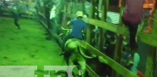 Montas taurinas en honor a Santa Ana