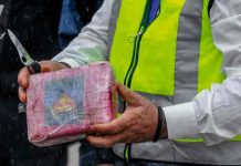 Desmantelada red albanesa de tráfico de drogas con actividad en España albania, trafico de drogas, detencion,