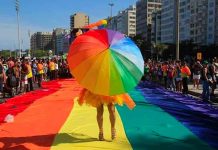 Brasil: Asesinan a 80 travestis y trans en el primer semestre del año brasil, homicidios, travestis, crimenes de odio,