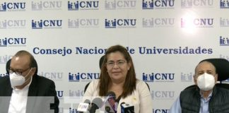 Foto: Estas actividades desarrollarán las universidades en Nicaragua esta semana / TN8