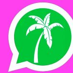 ¿Ya sabés cómo se activa el modo vacaciones WhatsApp? / FOTO / El Mundo